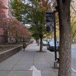 College Street, New Have, CT