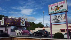 Sheila Keen Warren owned the Purple Cow in Kingsport TN