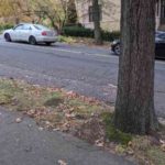 Suzanne Jovin was attacked here